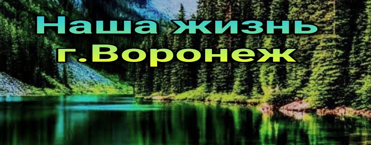 Наша жизнь г. Воронеж