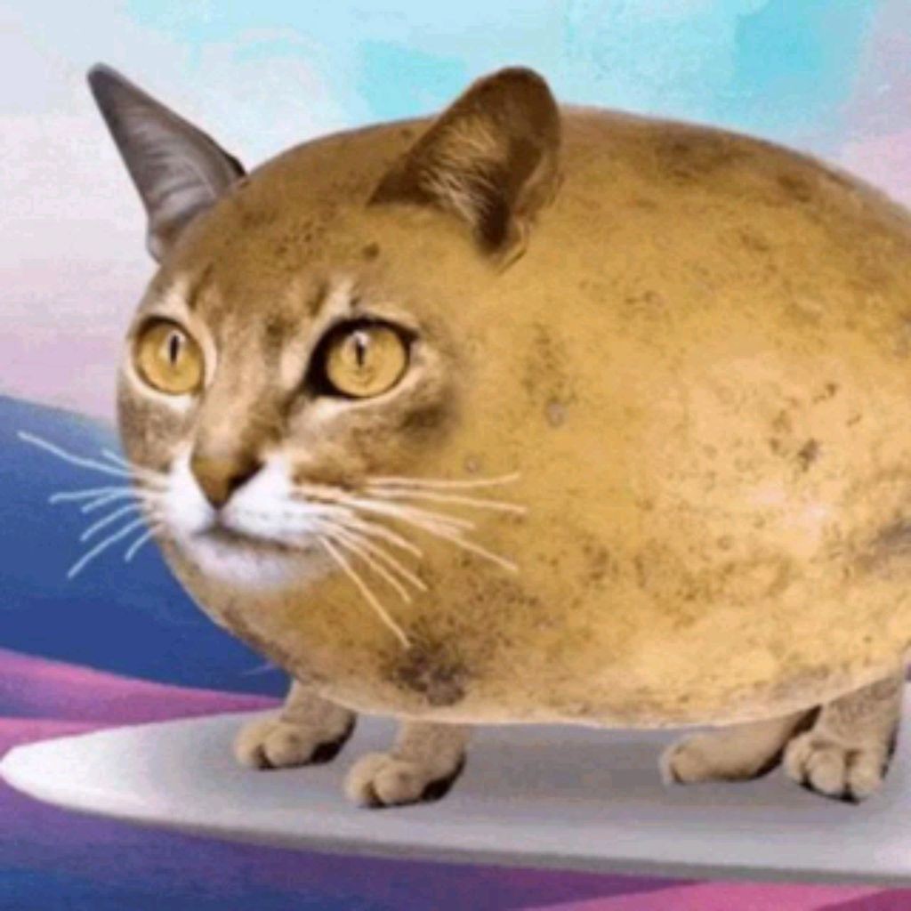 Бекон роблокс