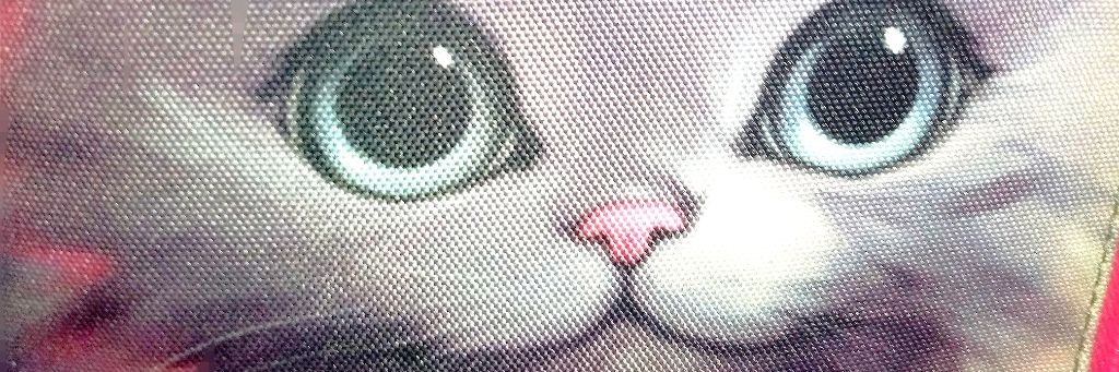 🧑❤️Вероника🐱❤️Мася