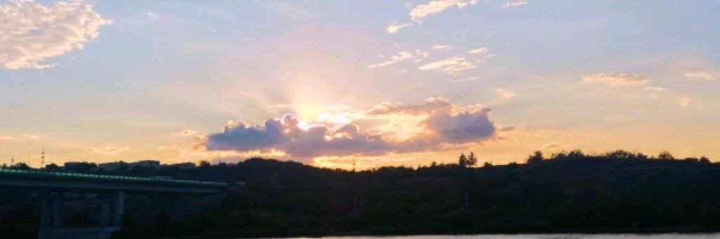 Олег Шевцов