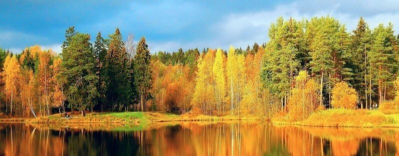 Вся Россия за кадром. Путешествуем по РФ.