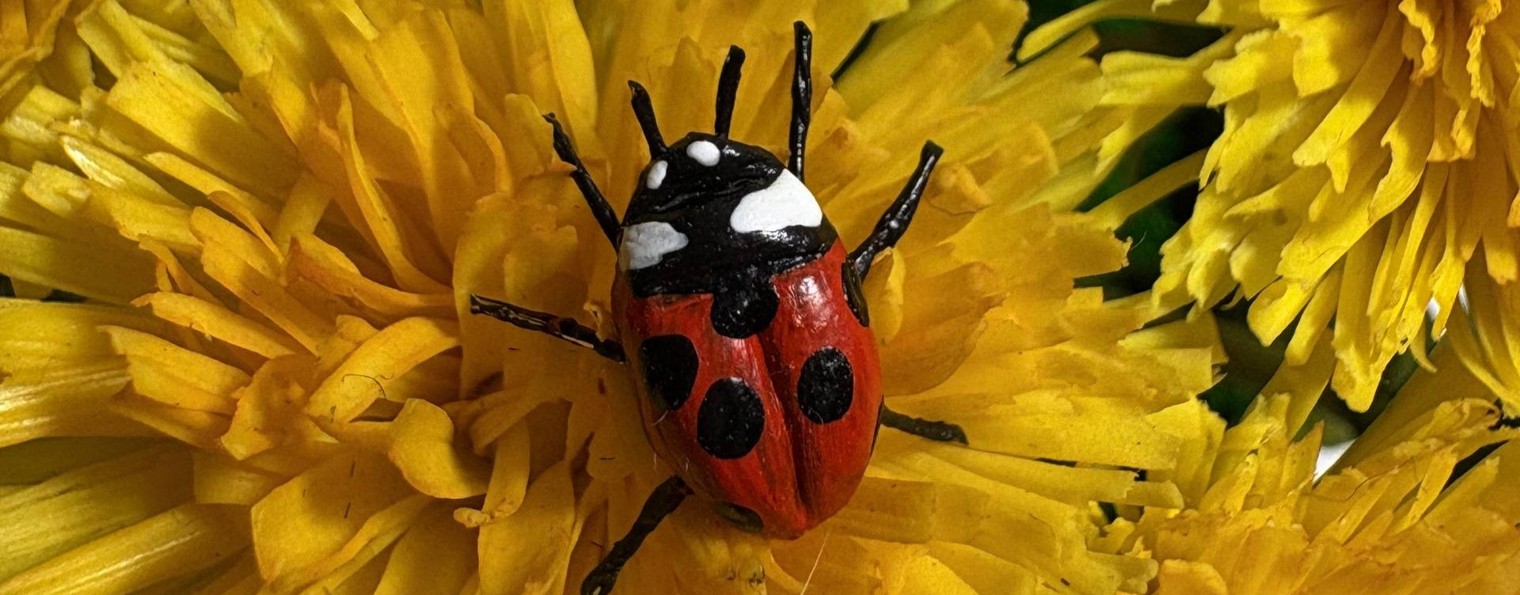 BerlogFlowers | Цветы из глины своими руками