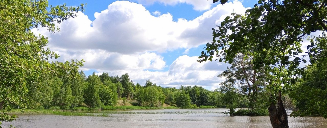 Сельская жизнь (Neprosto life🏡)