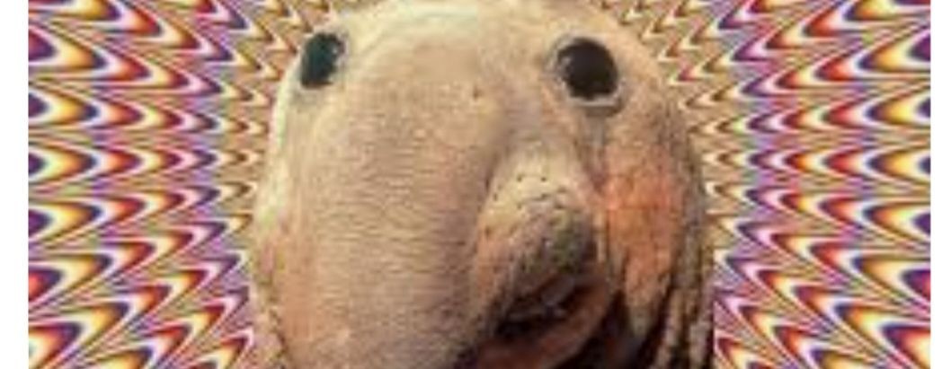 БУБА666[мемасеки]$$$