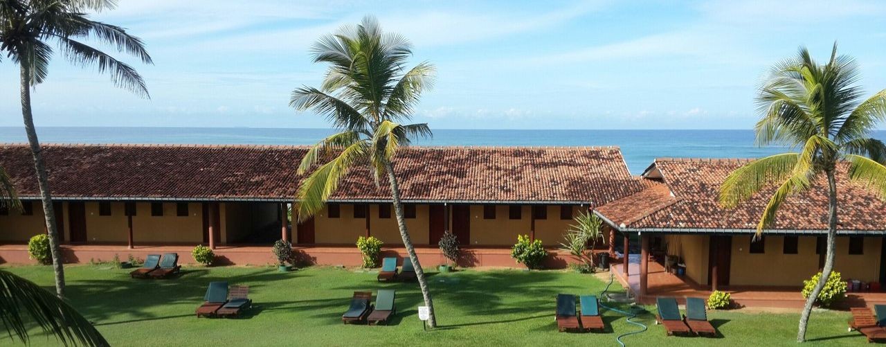 Дарья и Михаил