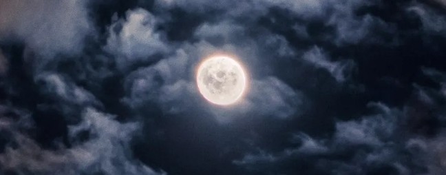 Евгений Орел