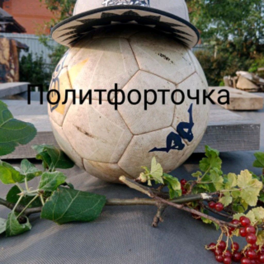 Политфорточка🌿