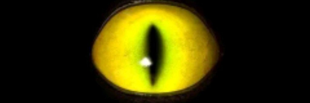 Boxy Boo/Бокси Бу (Музыкальный Канал)