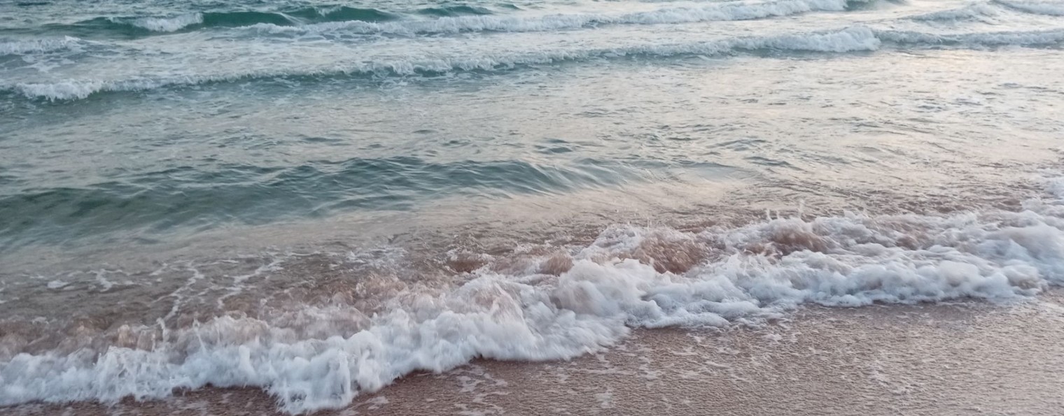 гостевой дом "Сказочный дворик" Крым Штормовое