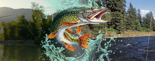 РЫБАЛКА В РОССИИ