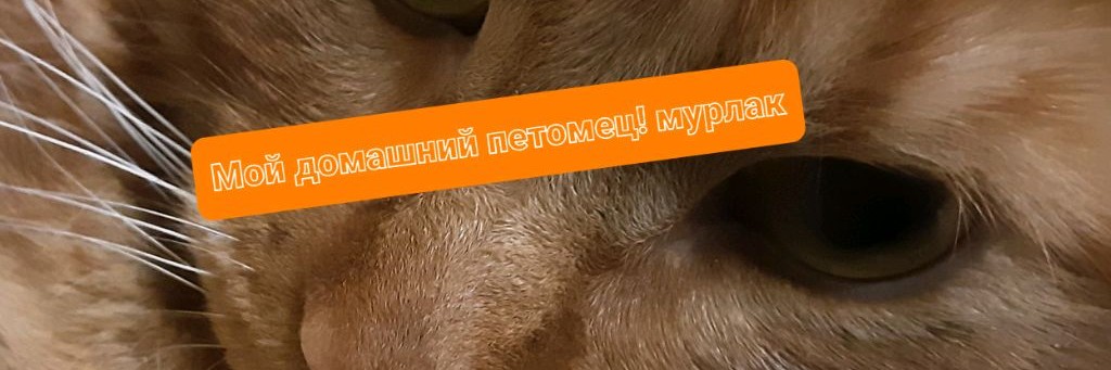 ▪︎♥︎МИСТИЦО~УХАЯ(🖤⚪✅)♥︎▪︎ ķß♡『:D』