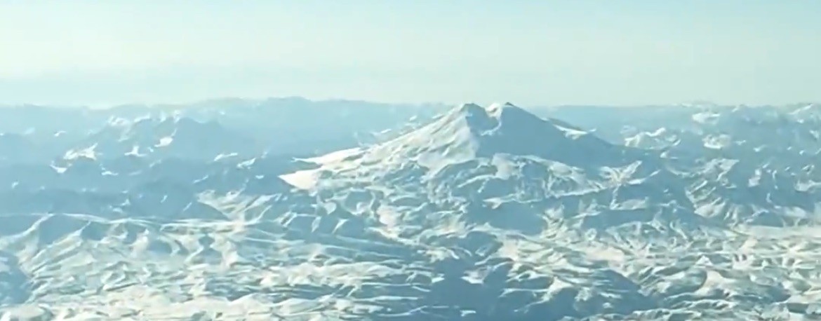 Природа. Животные. Спорт. Человек.