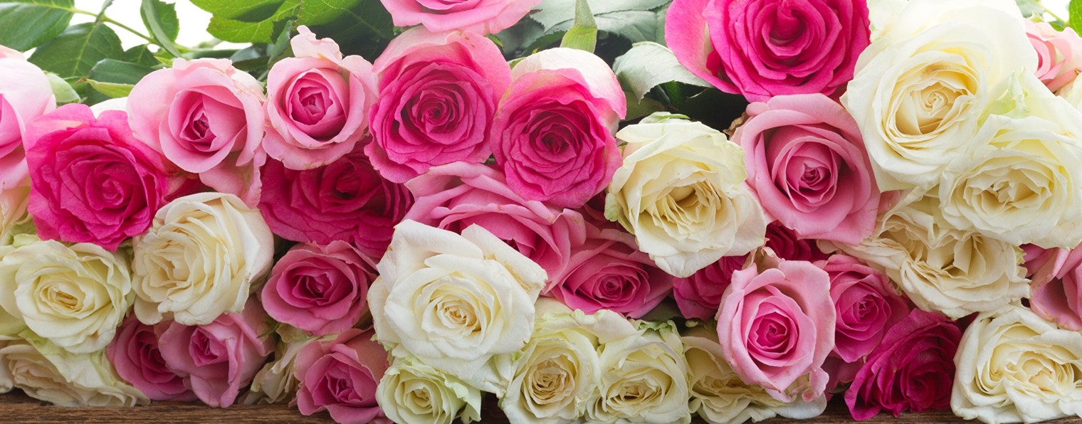 Ирина Ростова