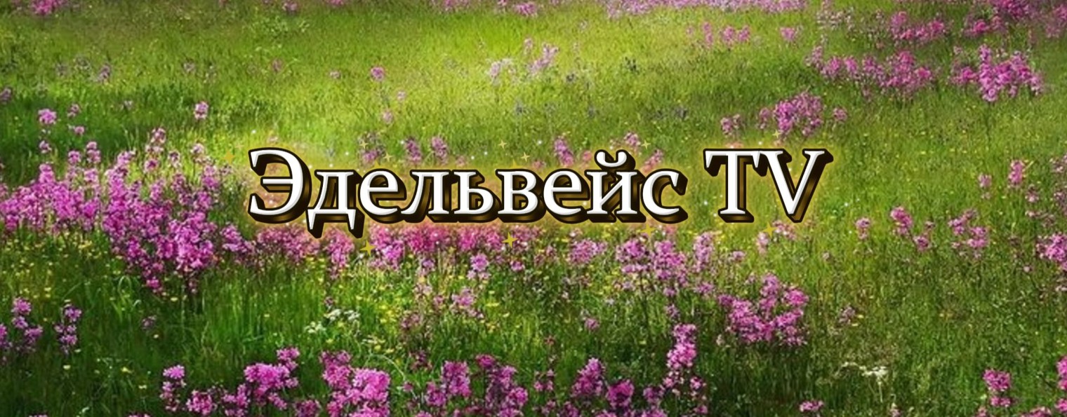 Эдельвейс TV