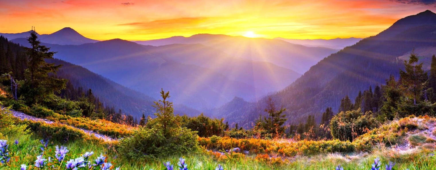 НЕПОКОЛЕБИМОЕ ОСНОВАНИЕ (RUTUBE)