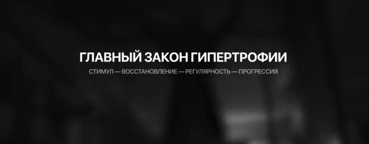 UNDERGROUND PARLIAMENT