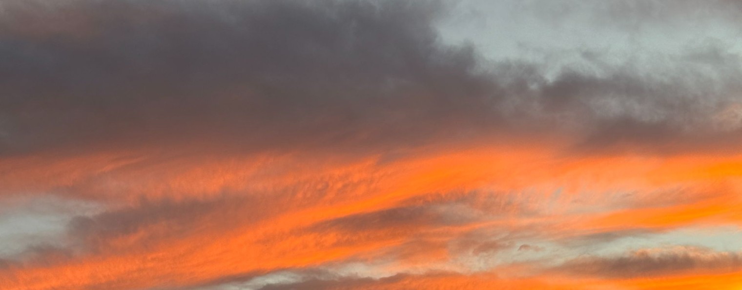 Ольга Вагнер