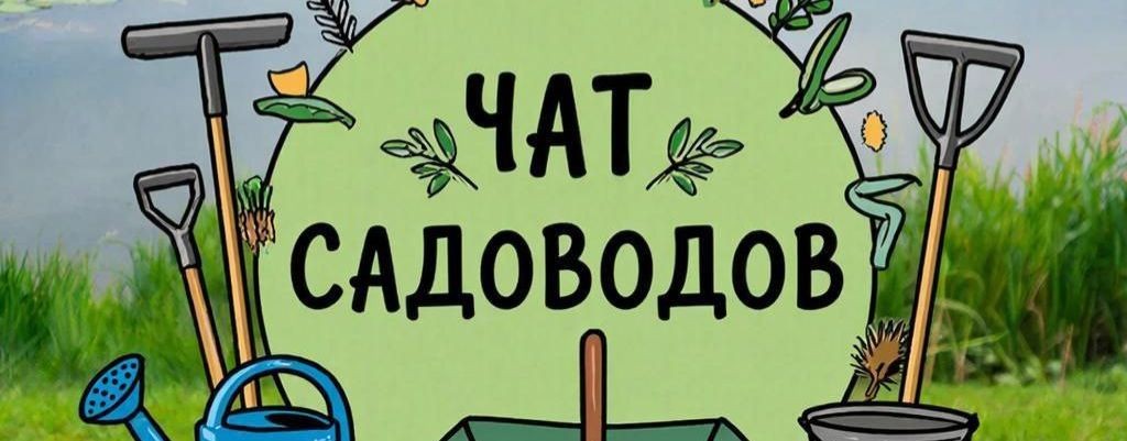 Владимир Петров