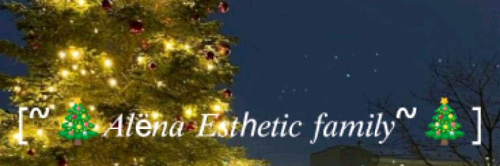 [~🎄𝐴𝑙ё𝑛𝑎 𝐸𝑠𝑡ℎ𝑒𝑡𝑖𝑐 𝑓𝑎𝑚𝑖𝑙𝑦~🎄]