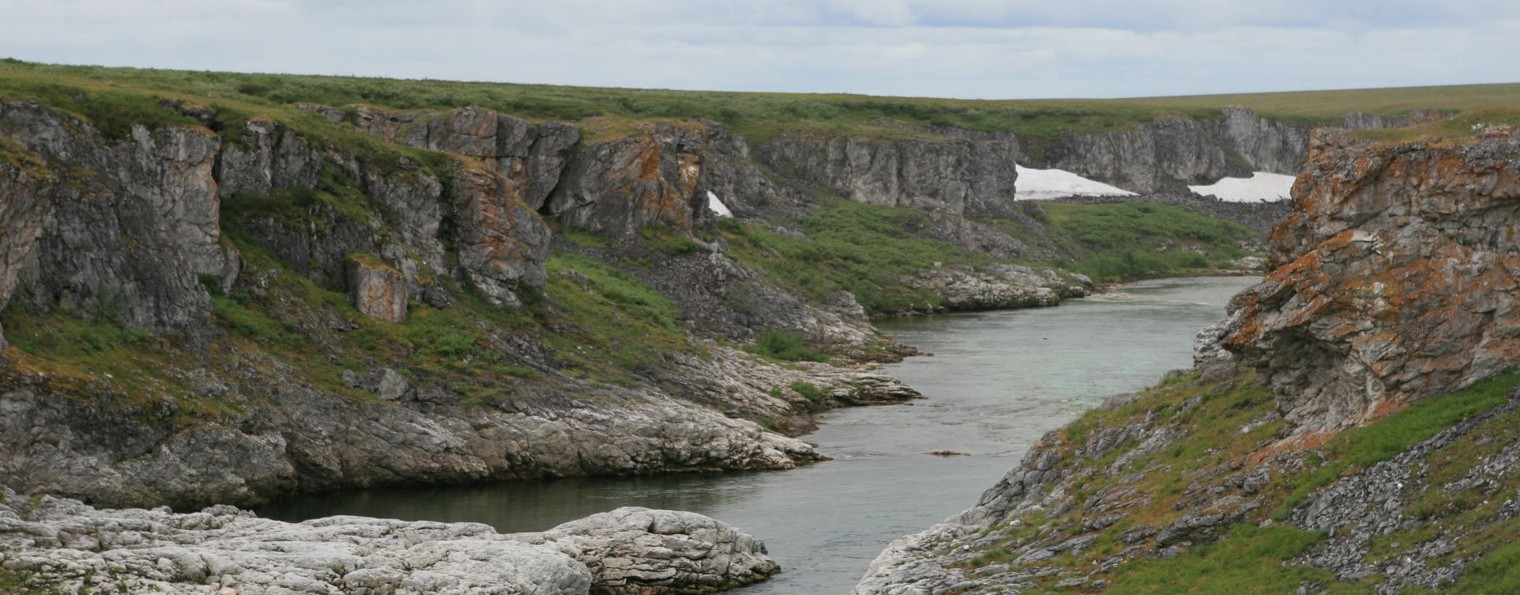 Агафонов Сергей Водоплавающие