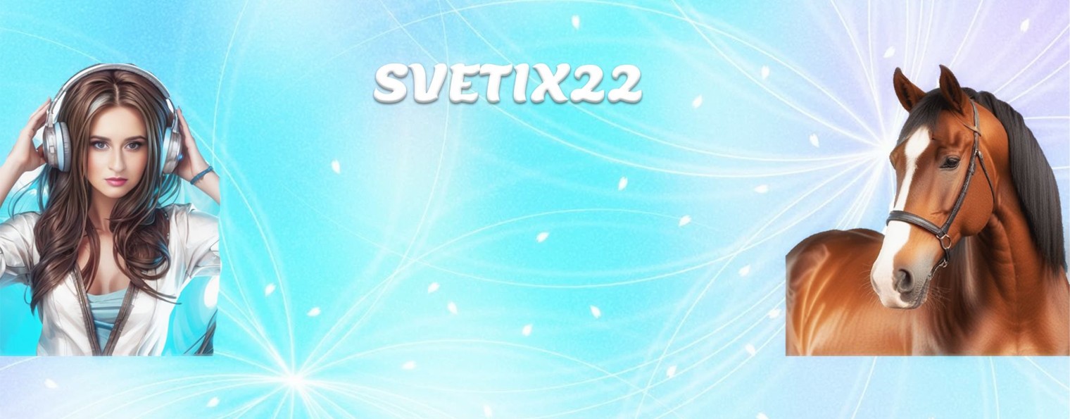 Stories of my equestrian life