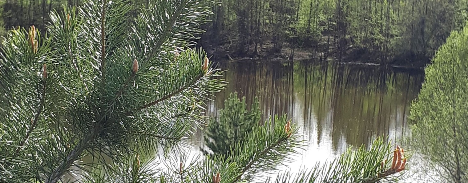 Варяжки и не только