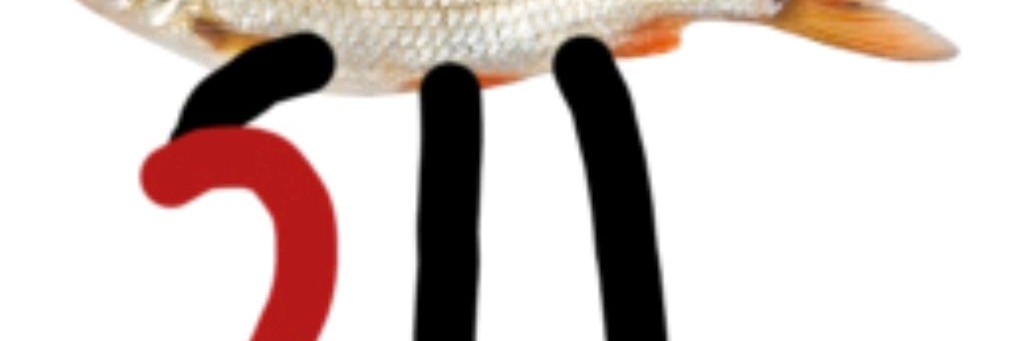 Мистер Фиш🐟 (Гусь) ;( :(