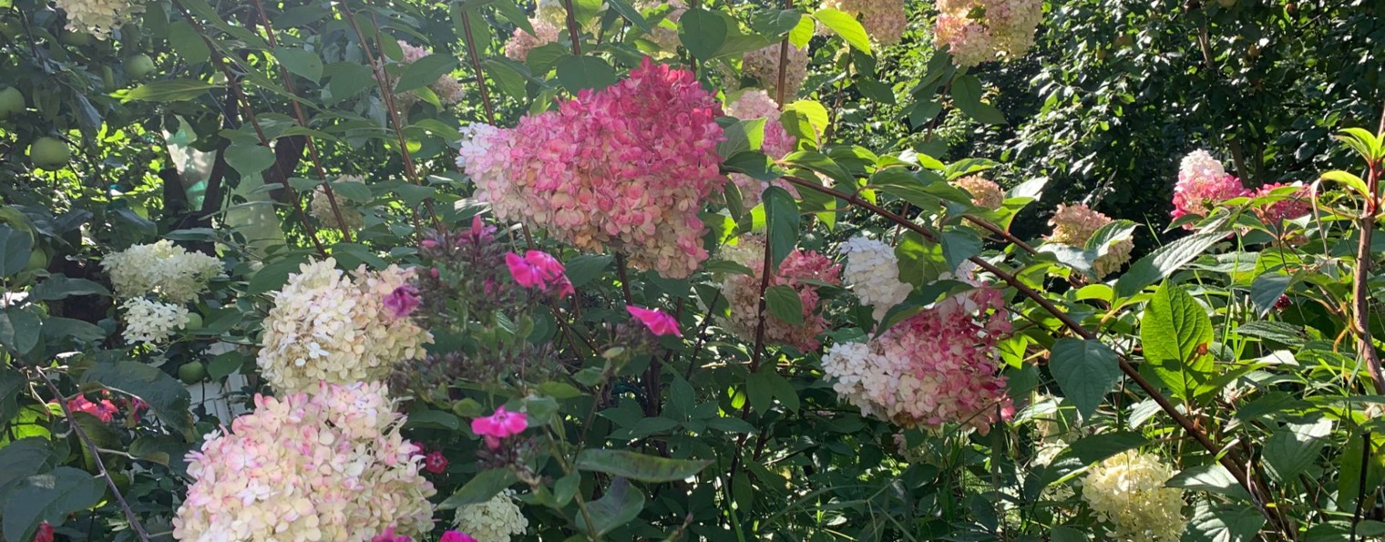 Екатерина А. Александрова