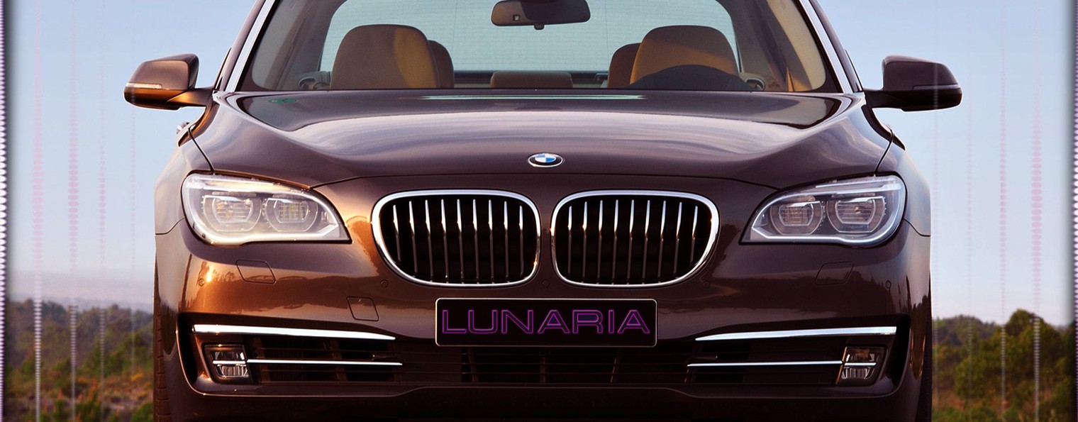 *•.♡ 𝗟𝗨𝗡𝗔𝗥𝗜𝗔 ♡.•*