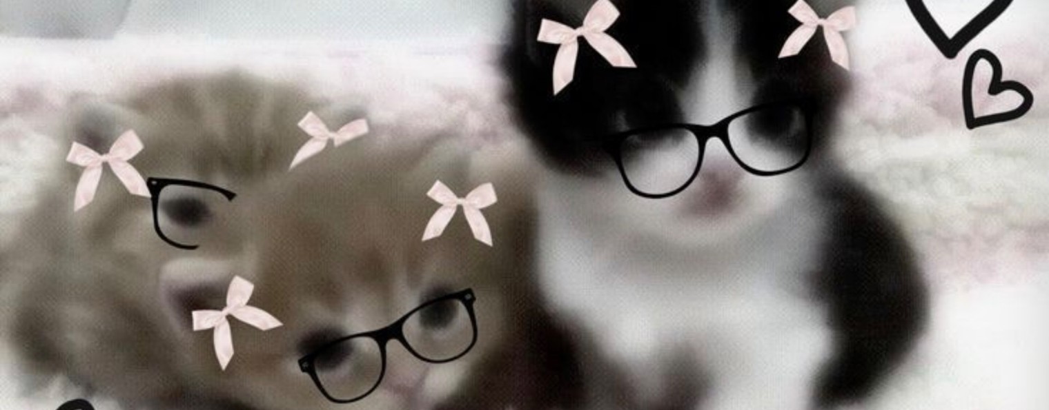 |🍓•kitty queen•🍓|