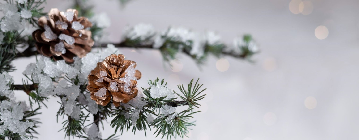 Магазин  Дачная коллекция