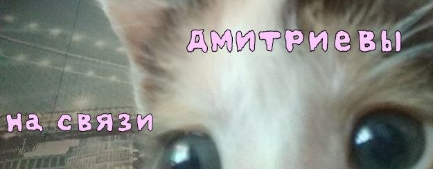 Dmitrievi_na_svazi
