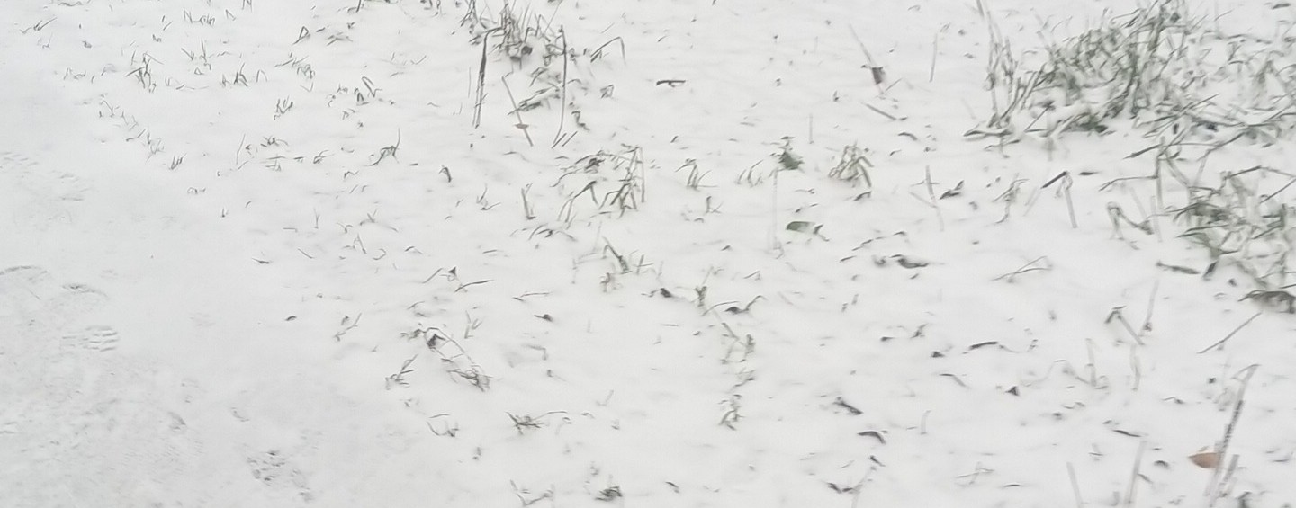 Горячие девушки