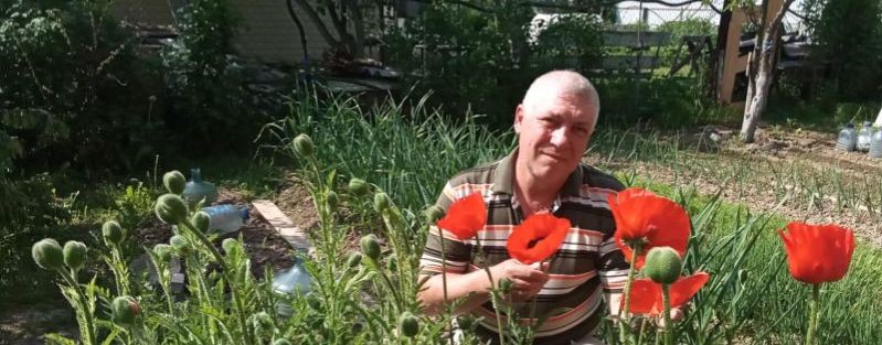 Villi Младший