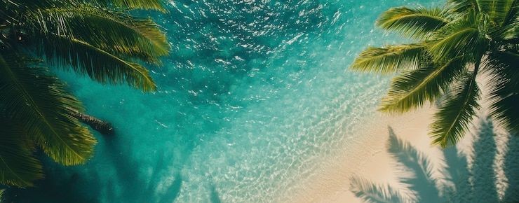 Эйфория Тревел