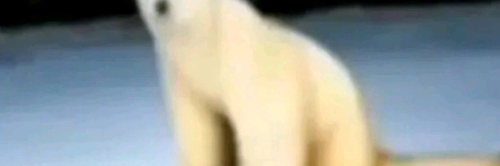 🎆🍾🌃☃️🏢ᴍɪsᴛᴇʀ ɢᴜsᴇᴠ (𝕬𝕯𝕴𝕯𝕬𝕾-𝕳𝕬𝕽𝕯𝕭𝕬