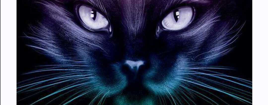 За гранью видимого