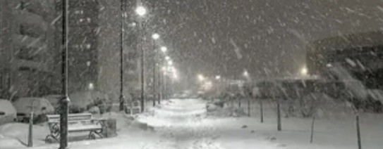 ꧁☆Хвоя КВ☆꧂  (Needles) Возможно, скоро уйду.