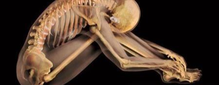 Мануальный Терапевт Остеопат Пермь