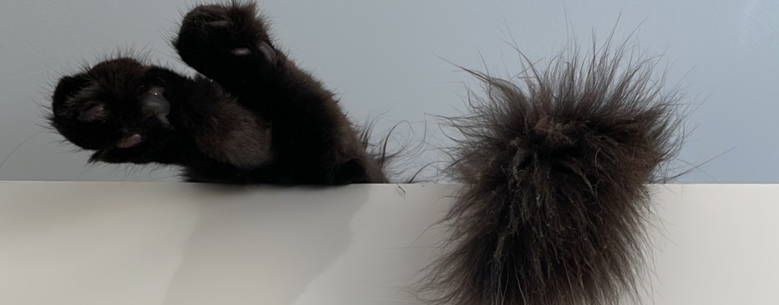 Жизнь Наташки и Коти