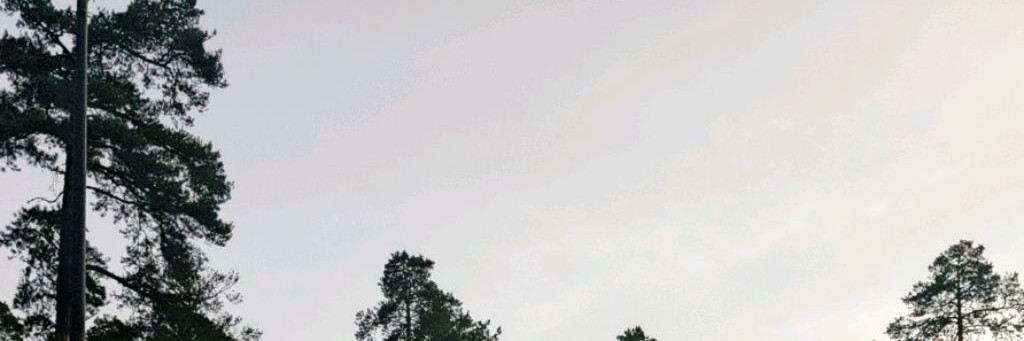 Не экспертное мнение