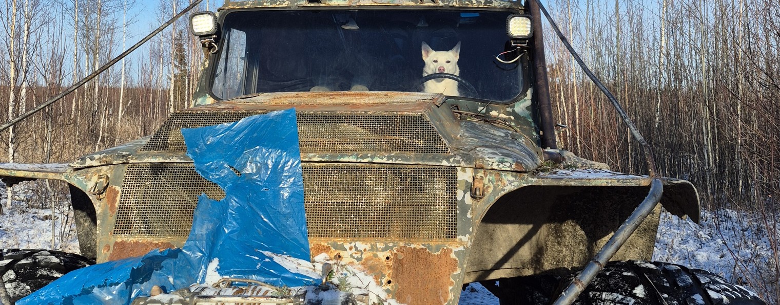 шёпот тайги