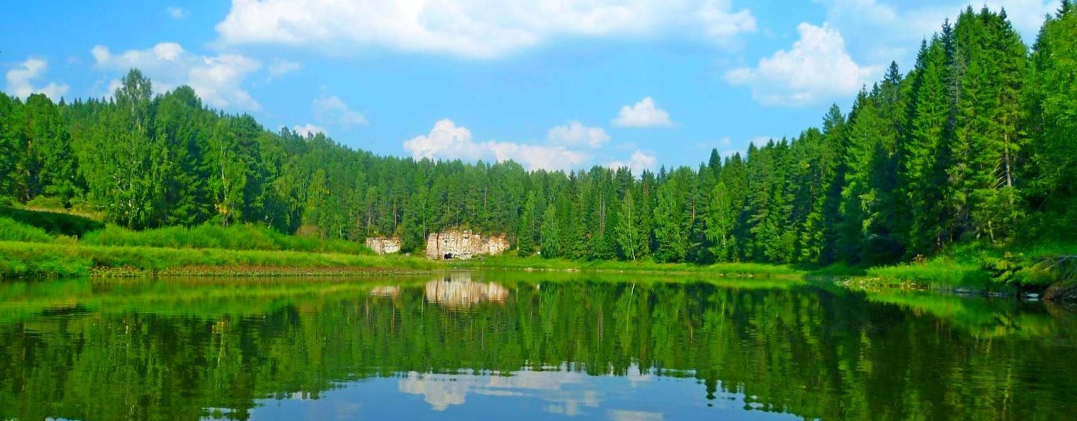 Александр Кузнецов**