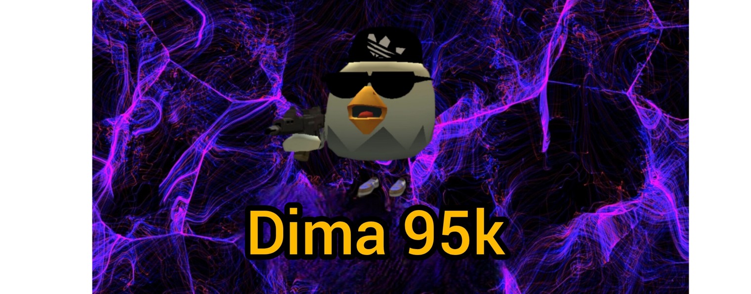 Dima 95k
