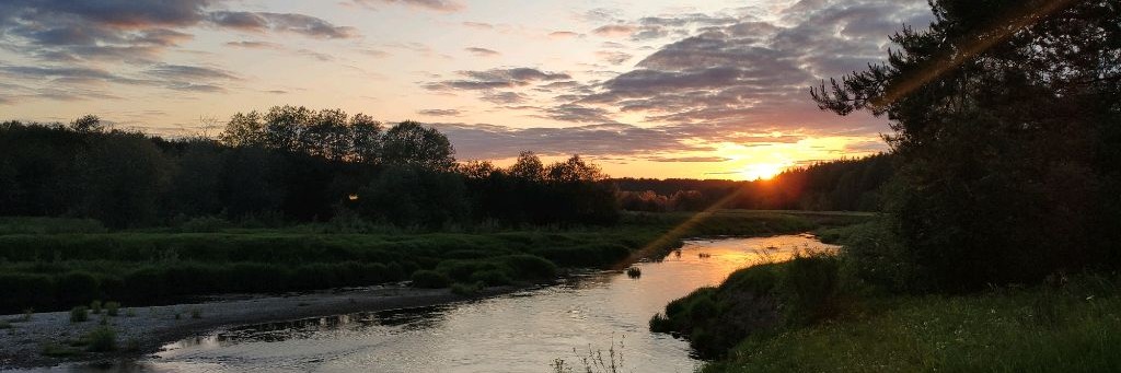 Речные Истории: Рыбалка И Путешествия