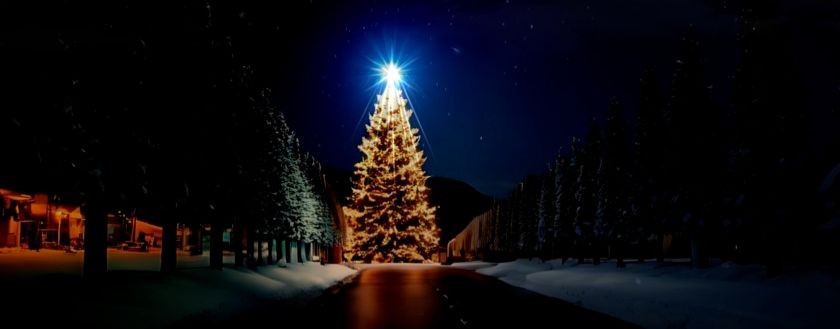 Соболь А. 👑 🇷🇺