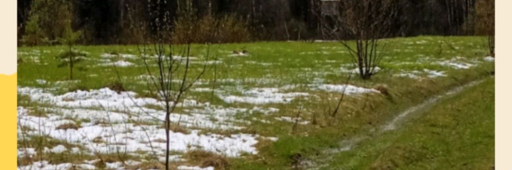 pavelpopov35 RUs@gmail.com