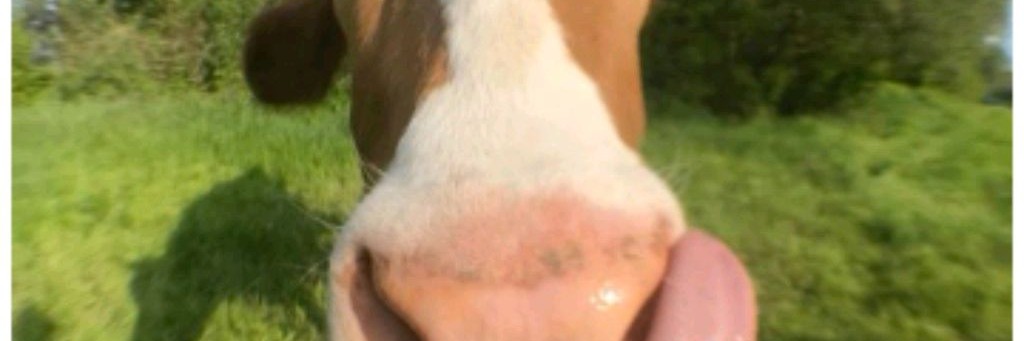 (М) Просто Видосики 🎀