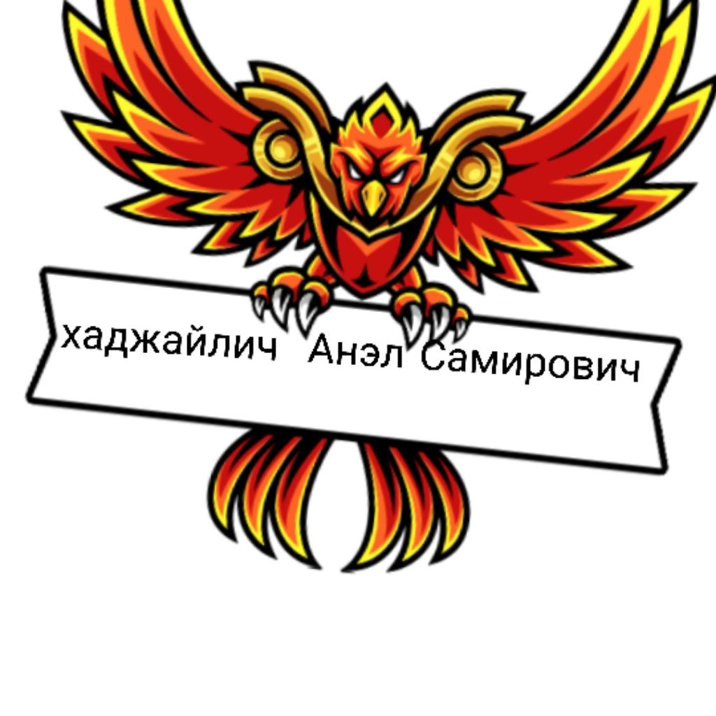 АНЭЛ ХАДЖАЙЛИЧ  И МАРИНА ПОДЛЕГАЕВА ХАДЖАЙЛИЧИ