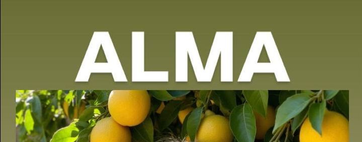 ALMA Оксана Уфимцева